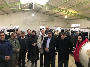 بازدید مدیر عامل صنایع شیر ایران و سبحانی فر از مجتمع کشت و صنعت جوین